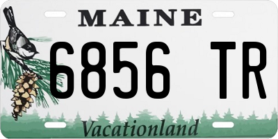 ME license plate 6856TR