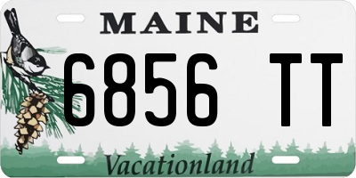ME license plate 6856TT