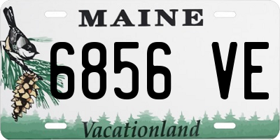 ME license plate 6856VE
