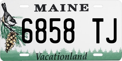 ME license plate 6858TJ