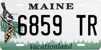 ME license plate 6859TR