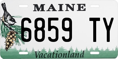 ME license plate 6859TY