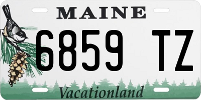 ME license plate 6859TZ
