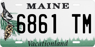 ME license plate 6861TM