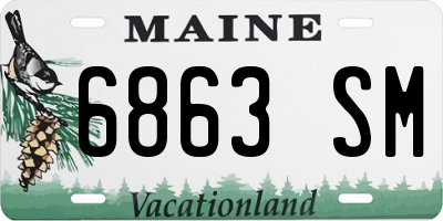 ME license plate 6863SM