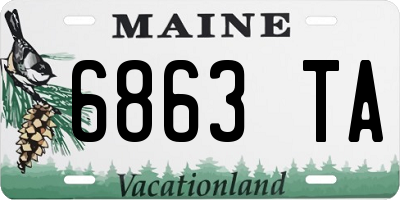 ME license plate 6863TA