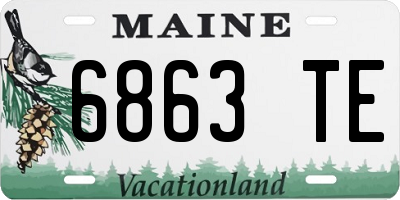 ME license plate 6863TE