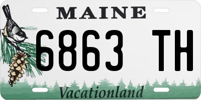 ME license plate 6863TH
