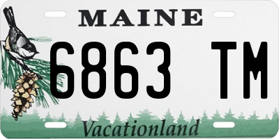 ME license plate 6863TM