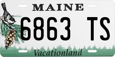 ME license plate 6863TS