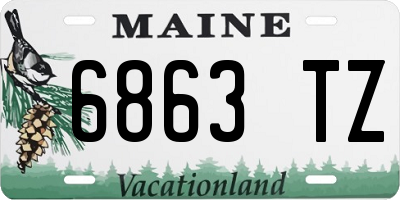 ME license plate 6863TZ
