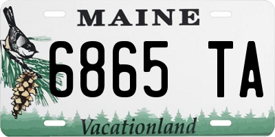 ME license plate 6865TA