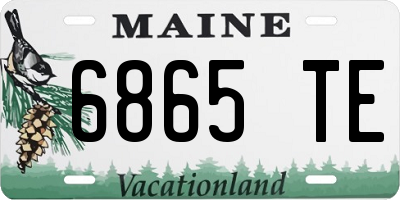 ME license plate 6865TE