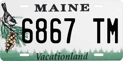 ME license plate 6867TM