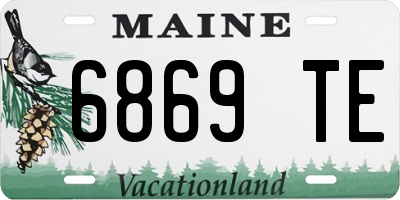 ME license plate 6869TE
