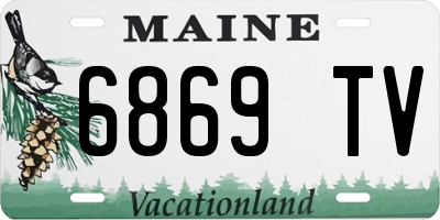 ME license plate 6869TV