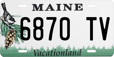 ME license plate 6870TV