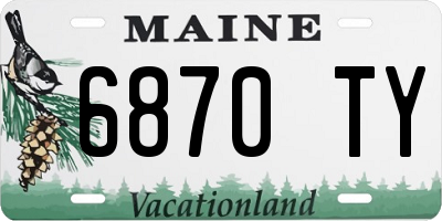 ME license plate 6870TY
