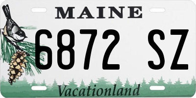 ME license plate 6872SZ
