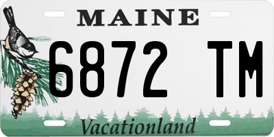 ME license plate 6872TM