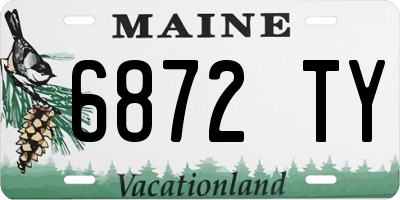 ME license plate 6872TY