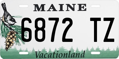 ME license plate 6872TZ