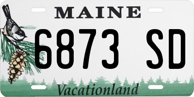 ME license plate 6873SD