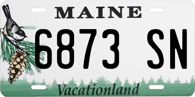 ME license plate 6873SN