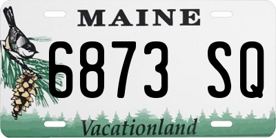 ME license plate 6873SQ