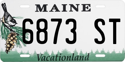 ME license plate 6873ST
