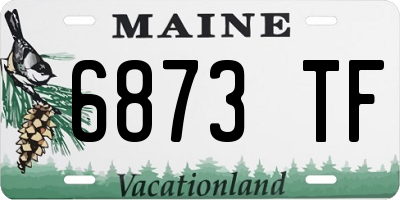 ME license plate 6873TF