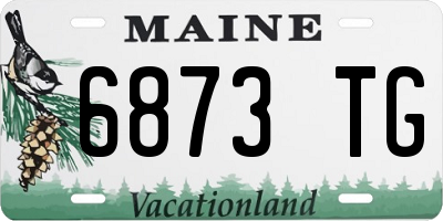 ME license plate 6873TG