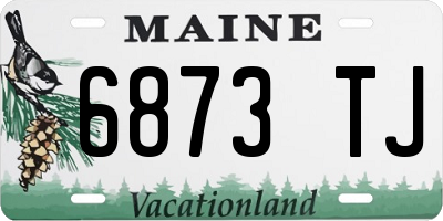 ME license plate 6873TJ