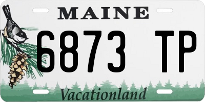 ME license plate 6873TP