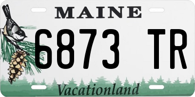 ME license plate 6873TR