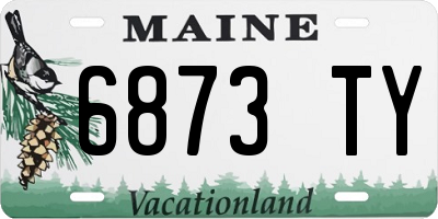ME license plate 6873TY