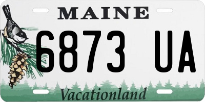 ME license plate 6873UA