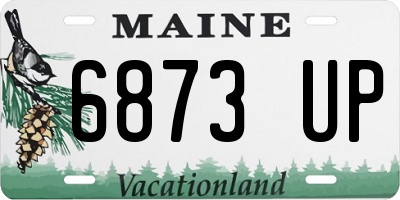 ME license plate 6873UP