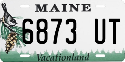 ME license plate 6873UT
