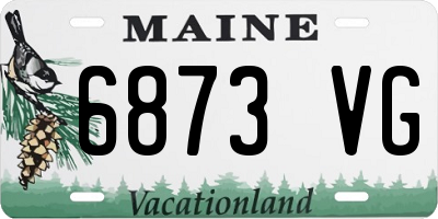 ME license plate 6873VG