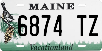 ME license plate 6874TZ