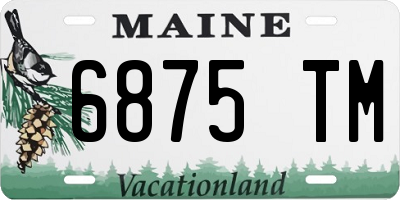 ME license plate 6875TM