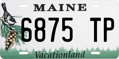 ME license plate 6875TP