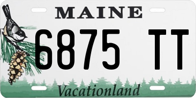 ME license plate 6875TT