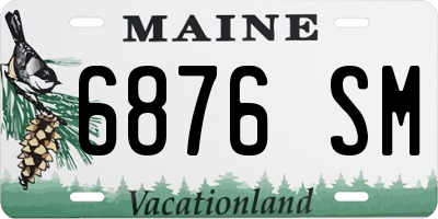 ME license plate 6876SM