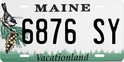 ME license plate 6876SY