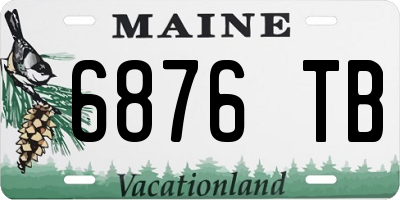 ME license plate 6876TB