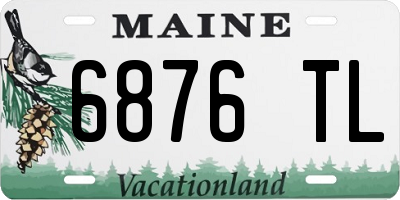 ME license plate 6876TL