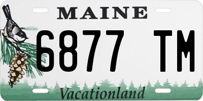 ME license plate 6877TM