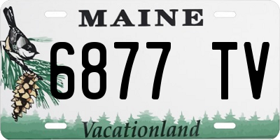ME license plate 6877TV